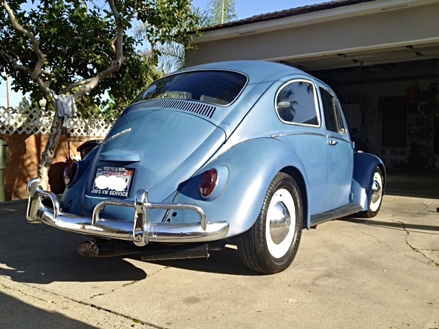 ArimaOwners.com - 67 Bug